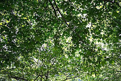 阿什莉体模出演《如龙8》交友小游戏 和她亲密互动