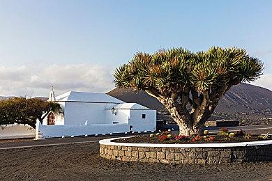 《F1 2022》Steam 248元 支持简中和中文配音、PC配置公开